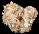Orange Creedite Crystal Cluster - Durango, Mexico #51656-1
